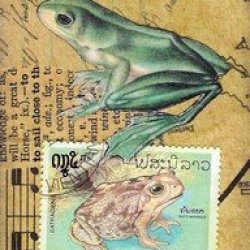 F-Athon Foreign Frog