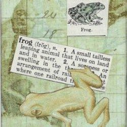 F-Athon Frog
