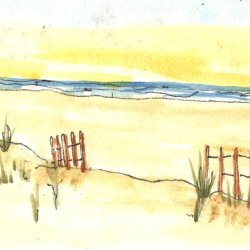 From the Gulf Stream Waters (Atlantic Coast)