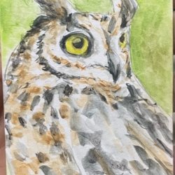 Feathered Friend II.jpeg