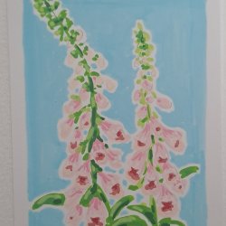 Foxglove