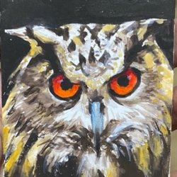 Feathered Friend III.jpeg