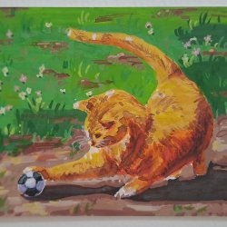 Cat playing
