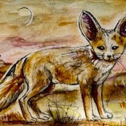 Fennec for the F~Athon