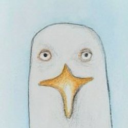 F-Athon Feathered Friend Gull