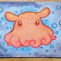 Flapjack Octopus