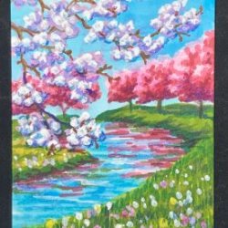 Cherry Blossoms by a River
