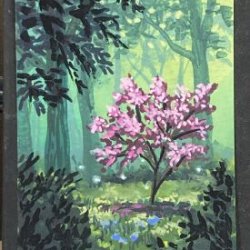 Hidden Cherry Blossom Tree