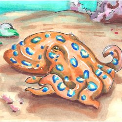 Blue-ringed octopus