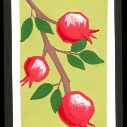 Pomegranate