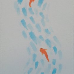 Koi