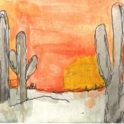 Sonoran Sunset