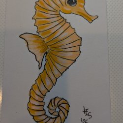 Sea Daddy