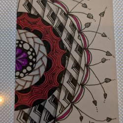 Beauty in the Chaos