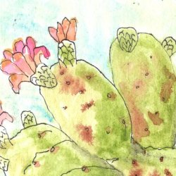 Red Prickly Pear Blossom