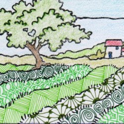 With a touch of tangle 2/4