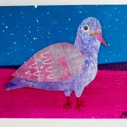 Stargazer