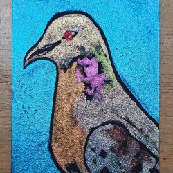 Media 'Passenger Pigeon [Traded]' in album 'Traded ATCs'