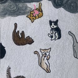 raining cats&cats