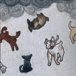 raining dogs&dogs