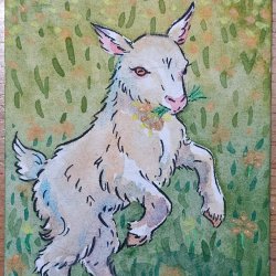 Happy baby goat [Traded]