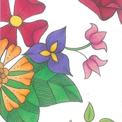 Flowers 6