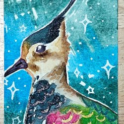 Lapwing [Traded]