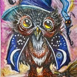 Owl Rides atc