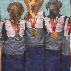 Dogs with goals.jpeg