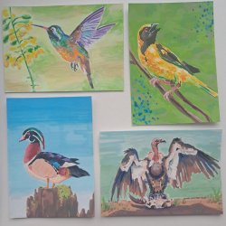 Birds in the wilderness VWX swap