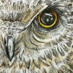 Owl Eye ATC - Traded