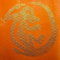 Orange Iguanas