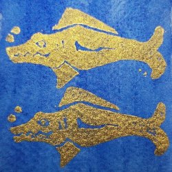 Blue Barracudas