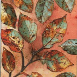 Colours of Autumn 2/4
