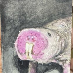 N is for Naked Mole Rat.jpeg