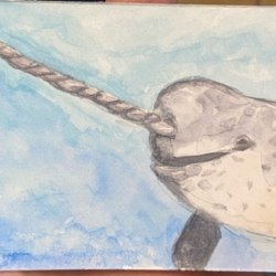 N if for Narwhal.jpeg