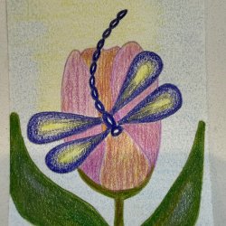 Dragontulip