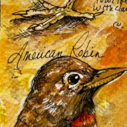AmericanRobin ATC Pending