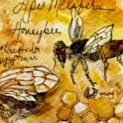 Honeybee field study ATC - pending