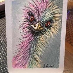 Fun Emu.jpg