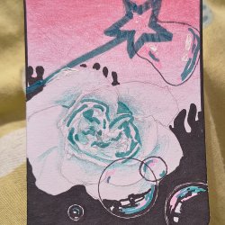 Bubbles and roses