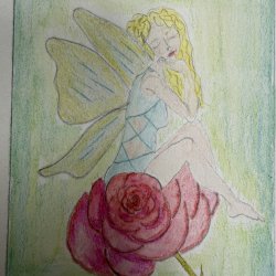 Rose fairy1