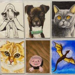 Cats and Dogs and Other.jpeg