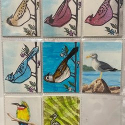 Birds.jpeg