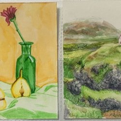 Still life and landscape.jpeg