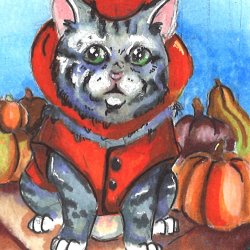 Pumpkin Cat