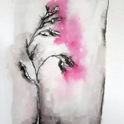 Mystical Botanicals - from A Year of Wild Nature Tester