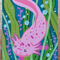 Axolotl [Traded]