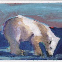 Polar Bear Fishing