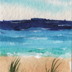 Ocean Surf